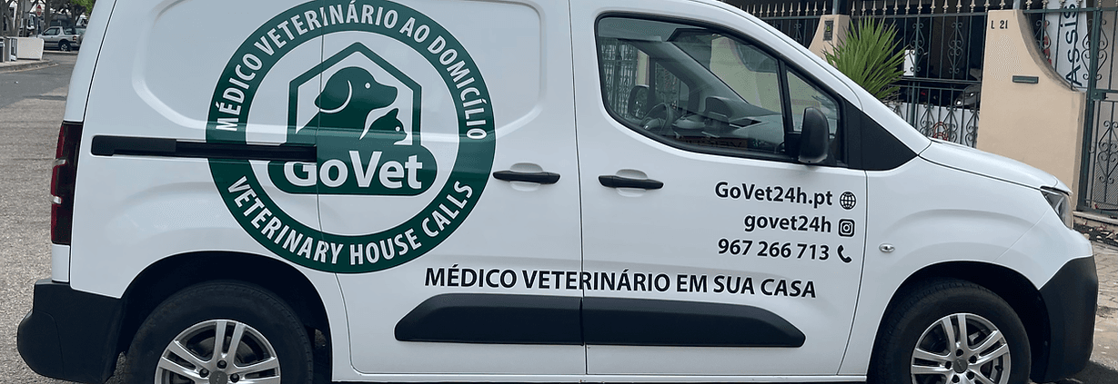 Equipa GoVet pronta para atendimento ao domicílio
