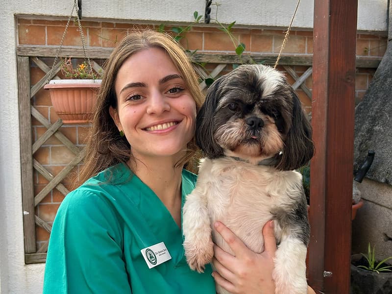 Visita veterinária com carinho e cuidado